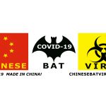 Chinese Bat Virus